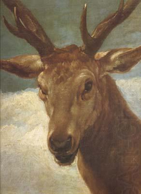 Head of a Stag (df01), Diego Velazquez